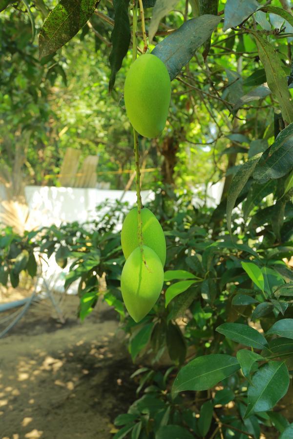 Marari Coastal Dreams Home Stay Alappuzha 외부 사진