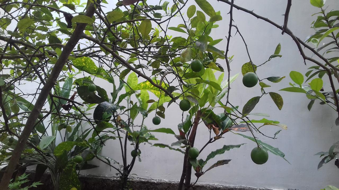 Marari Coastal Dreams Home Stay Alappuzha 외부 사진