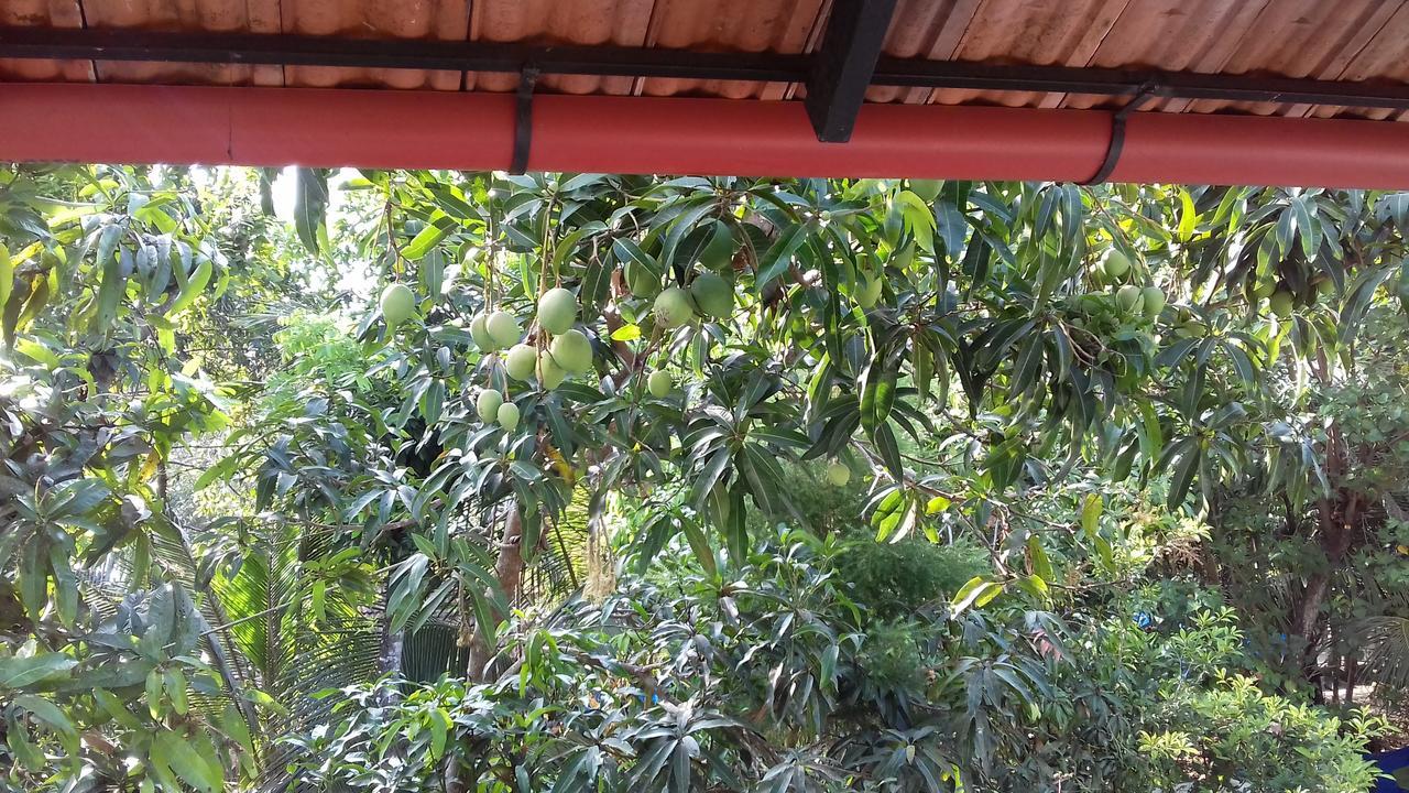 Marari Coastal Dreams Home Stay Alappuzha 외부 사진