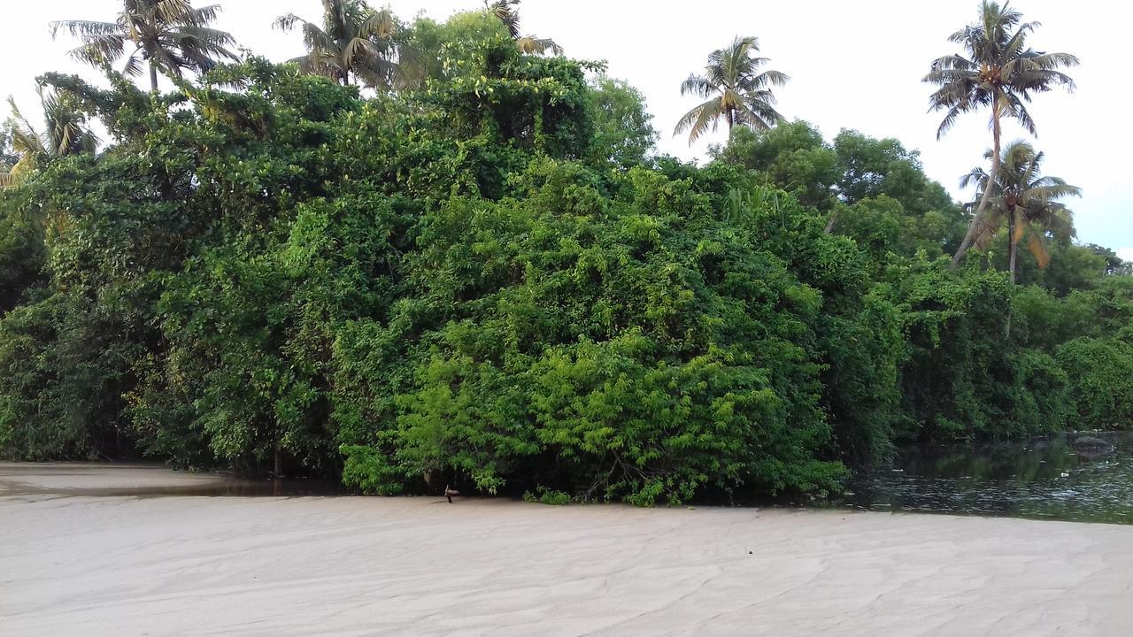 Marari Coastal Dreams Home Stay Alappuzha 외부 사진